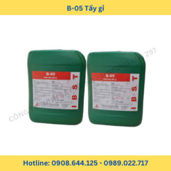tay ri b 05